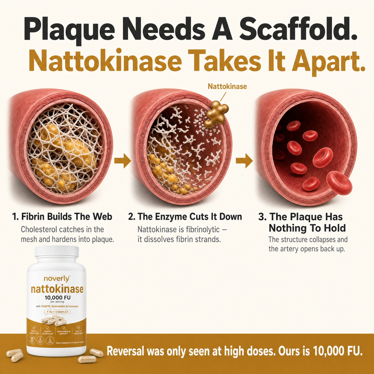 Nattokinase 10,000 FU Clinical Strength